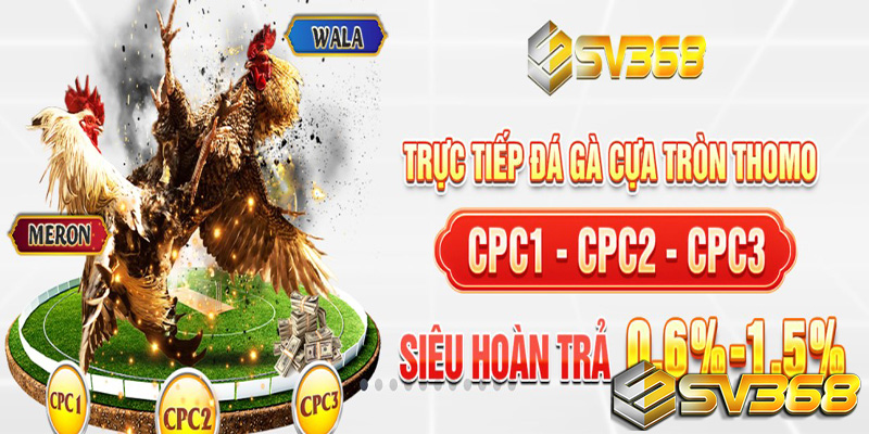 Thể thao SV368 - Nâng cáo kỹ năng Snooker, rinh tiền đầy túi